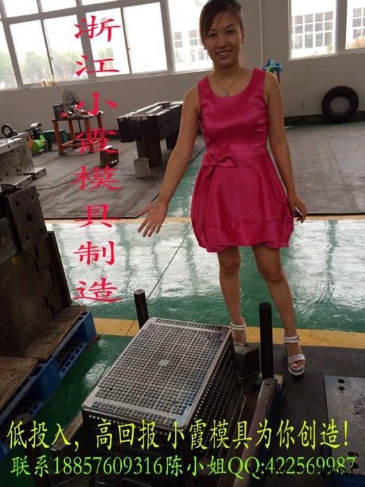 胶框子模具 PE冷柜框模具 注塑模具 冷冻框模具  PP汽配物流箱模具 塑料模具 PE中专箱模具 注塑模具 中专物流箱模图4
