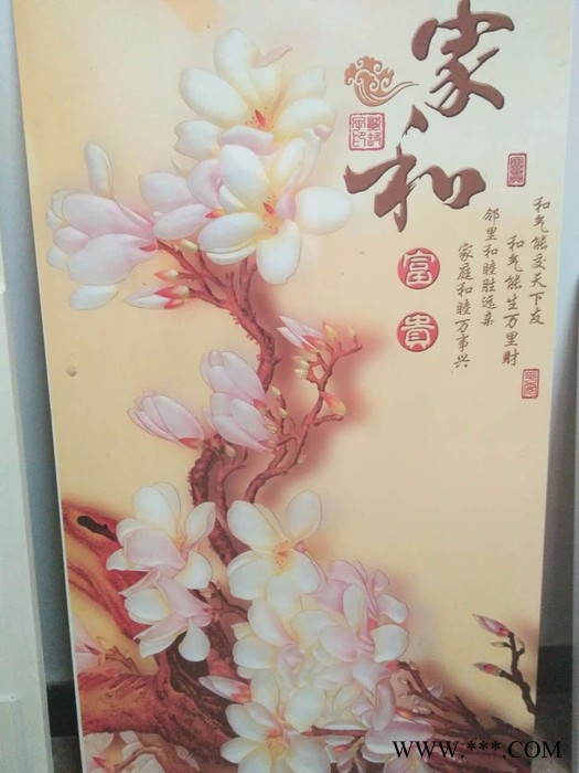 林木tm2480a 全自动吸塑机图2
