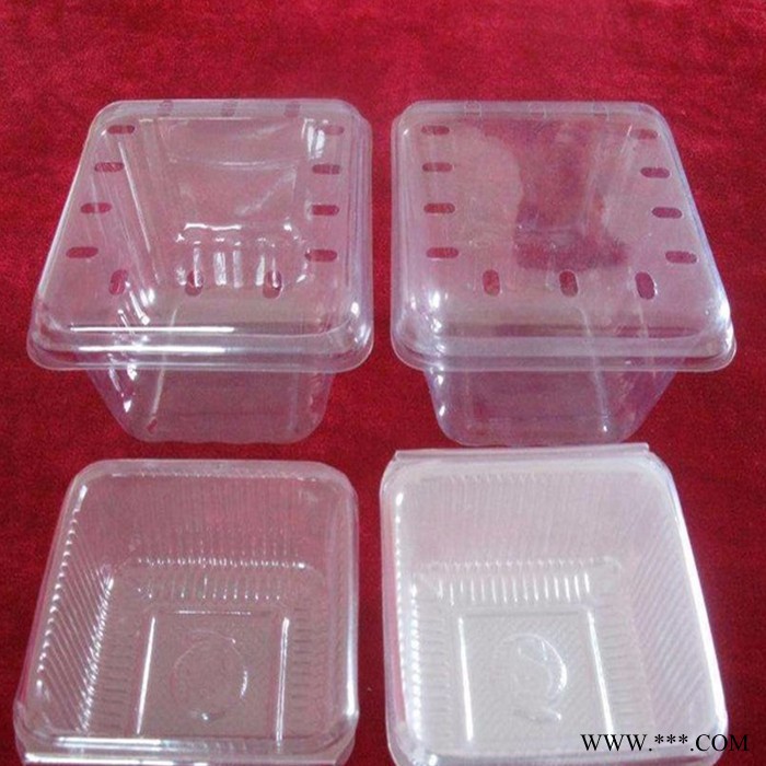 冠昌 吸塑包装盒 透明包装盒餐盒 食品吸塑包装盒 透明吸塑pvc包装盒图3