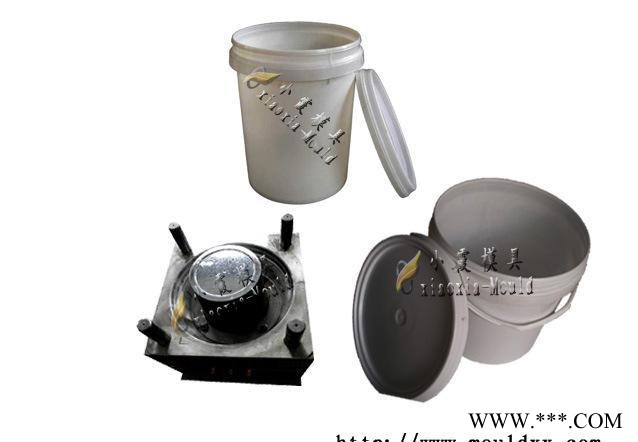 做注塑模具公司 20L密封包装桶八角模具 20升八角油漆桶模具价格图3