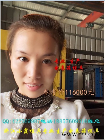 注塑模具  单相十二位电表箱模具 单相九位电表箱模具  单相六位电表箱模具 单相八位电表箱模具图5