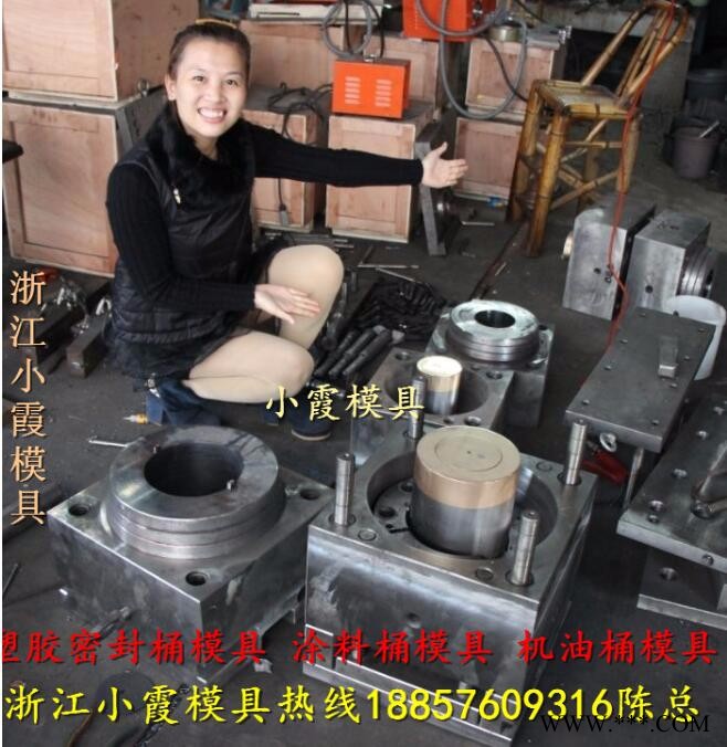 生产注塑模具18升食品桶模具图6
