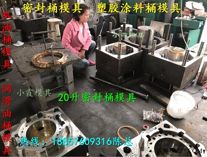 生产注塑模具18升食品桶模具图2