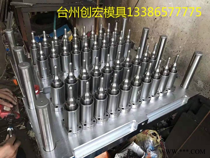创宏 瓶吹模具 瓶胚模具 瓶盖模具  吹塑模具厂家 塑料瓶模具图3