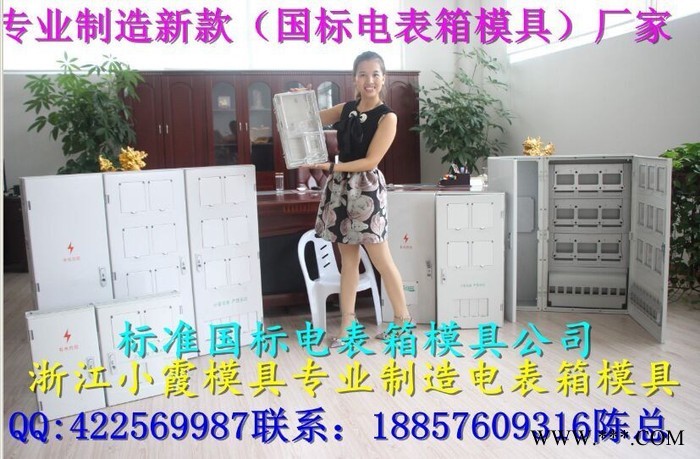ABS电表箱注塑模具 三相八位电表箱注射模具  三相四位电表箱注射模具 三相二位电表箱注射模具图1