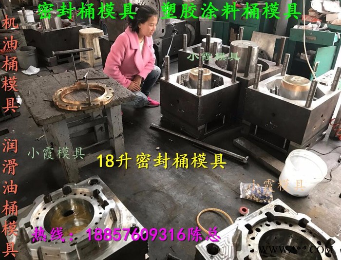 台州模具注塑模具 塑胶模具 塑料模具 注射模具 新款塑胶桶八角模具图5