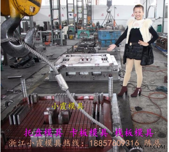 做PP0.5吨新开防潮板模具 注塑模具 塑胶模具 塑料模具 注射模具 黄岩模具图6