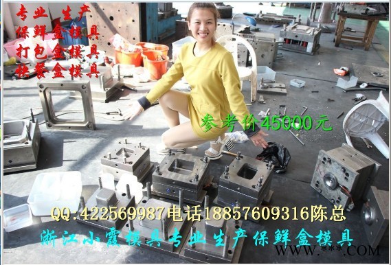 注塑模具 东北模具四格塑料快餐盒模具 四格塑料打包盒模具 四格塑料保鲜盒模具 四格塑料打包碗模具做塑料模具公司图8