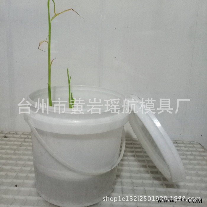 **塑料桶模具 提手水桶 鱼桶 带盖密封水桶注塑模具加工图2