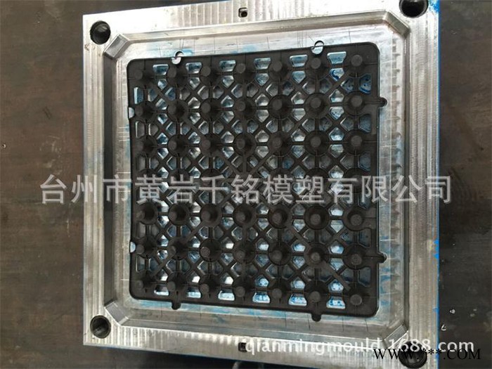黄岩注塑模具 排水板模具 PP塑料模具图2