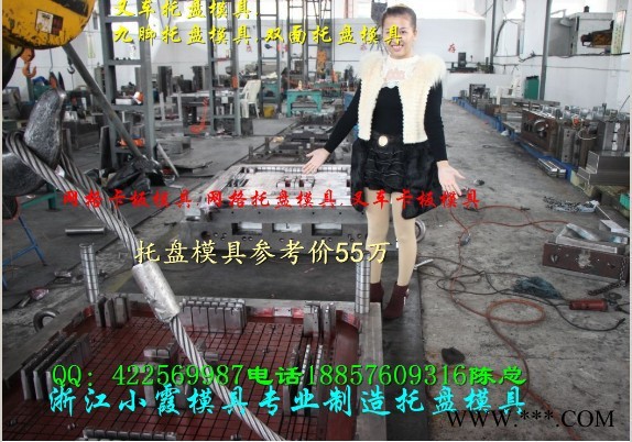 台州注塑模具厂 1.5m塑料栈板模具  一米三单面塑胶栈板模具低价促销图5