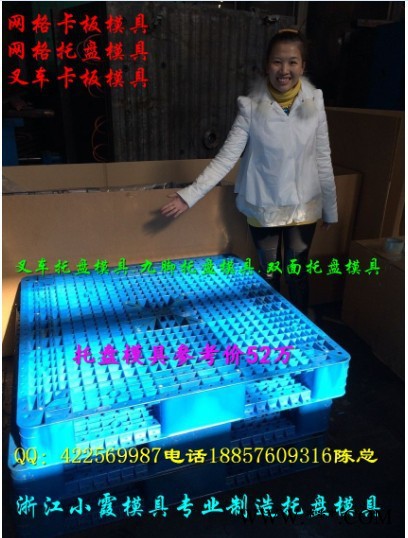 制造注塑模具 1m塑料单面托盘模具 1m塑料双面托盘模具 1m塑胶托盘模具 1m塑胶栈板模具 1m塑胶仓垫板模具价位图6