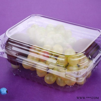 河北祥庆  带盖无异味塑料盒  多格果切盒 食品吸塑盒