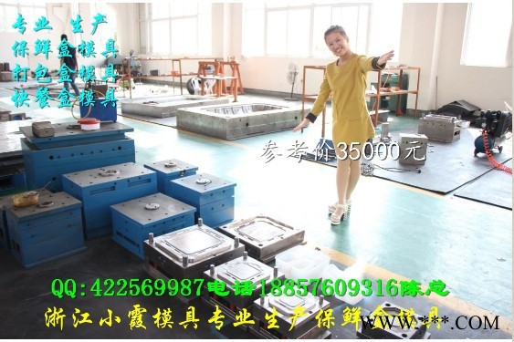 浙江台州塑料模具 薄壁500ml打包盒模具制造图3
