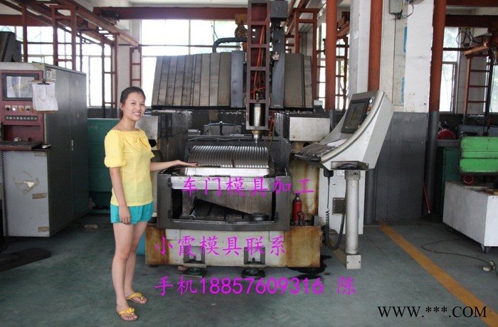 注塑模具 中国定做同悦车中网模具 格栅模具 面罩模具 散热器格栅模具 门板模具 车门内板模具 汽车轮拱模具供应商图2