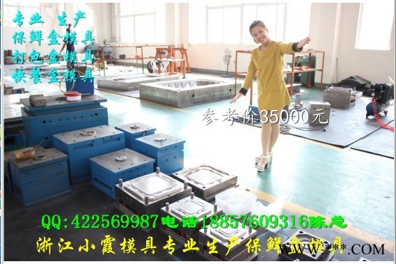 小霞模具 陕西模具厂家 薄壁650ml保鲜盒模具 2000毫升便当盒模具 500ml快餐饭盒模具 制造塑胶模具厂图5