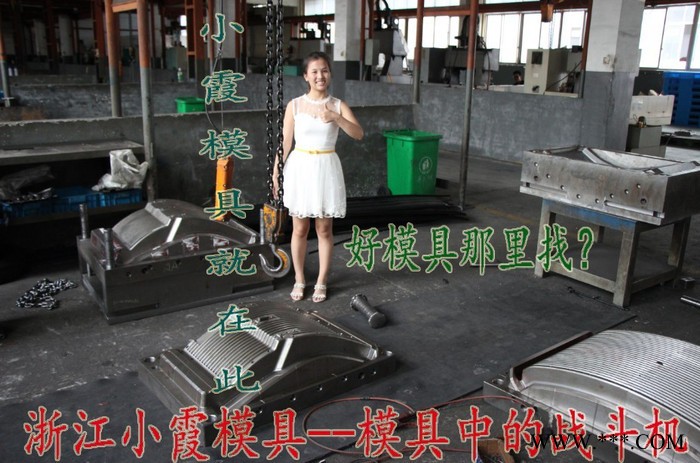 注塑模具 尼龙塑料模具生产 福特B-MAX车汽车后包围注射模具 挡泥板塑胶模具 浙江汽车塑胶模具专做注塑成型模图3