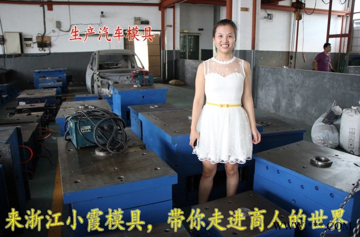 注塑模具 尼龙塑料模具生产 福特B-MAX车汽车后包围注射模具 挡泥板塑胶模具 浙江汽车塑胶模具专做注塑成型模图4