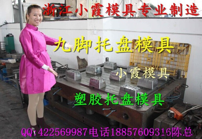黄岩注塑模具厂 1.4m栈板塑胶模具 塑料网格托盘模具制造价格图6