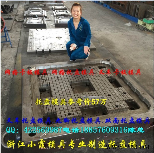 黄岩注塑模具厂 1.4m栈板塑胶模具 塑料网格托盘模具制造价格图2