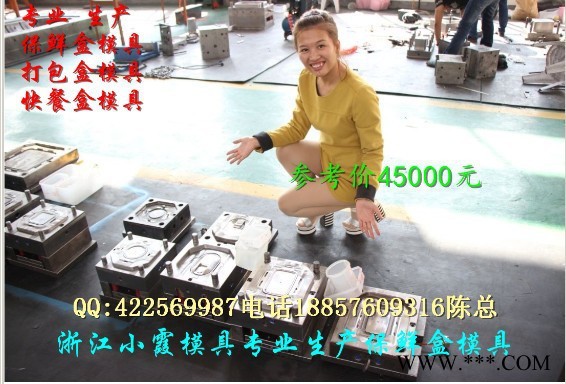 **的模具 薄壁850ml快餐盒模具厂家图3