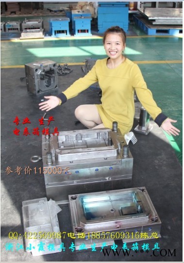 那有变压器防护罩塑料模具 配电箱注塑模具 7表电表箱塑料模具报价图7