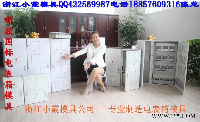 那有变压器防护罩塑料模具 配电箱注塑模具 7表电表箱塑料模具报价图5