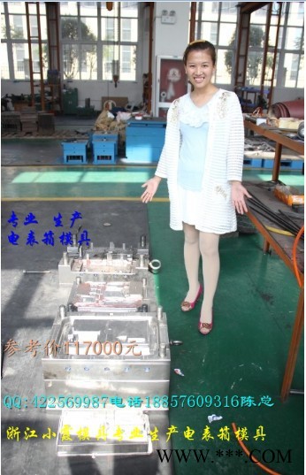 那有变压器防护罩塑料模具 配电箱注塑模具 7表电表箱塑料模具报价图2