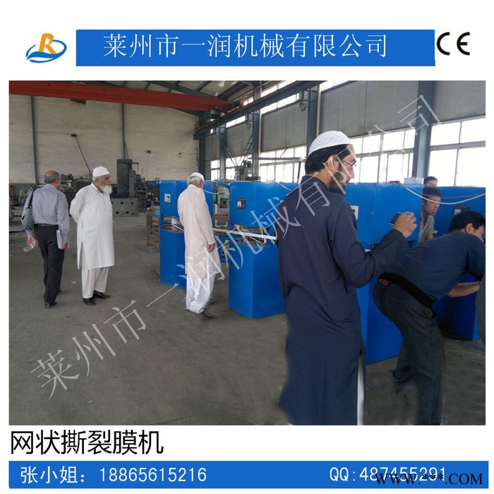 一润 【专业生产】SW-65网状撕裂膜设备，捆扎绳设备，塑料机械，塑料拉丝机【厂家】图5