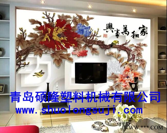 硕隆1220其他塑料机械图3