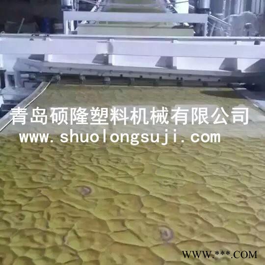 硕隆1220其他塑料机械图4