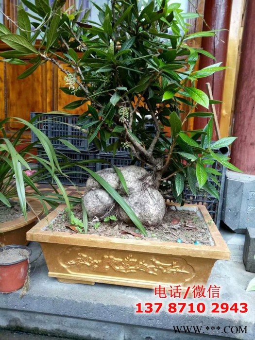 供应陕西安康旬阳县创新牌002 塑料水泥花盆模具，长方形水泥花盆模具厂家，水泥花盆模具价格图7