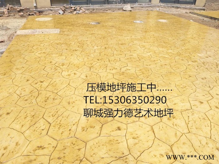 山东彩色水泥压花地坪 专业施工找强力德，购买材料模具免费使用图4