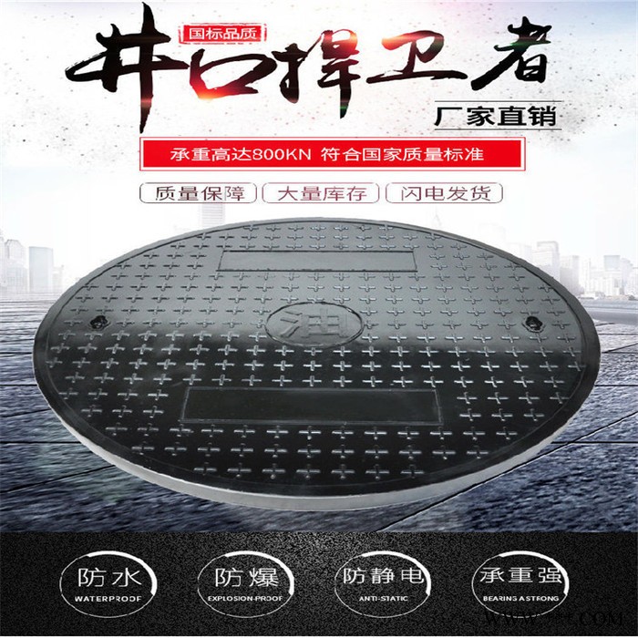 湖北襄樊玻璃钢井盖模具图4