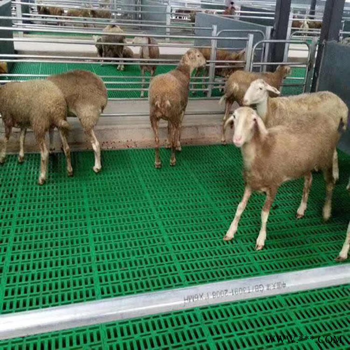 漏粪板模具 猪用产床限位栏 水泥板羊床塑料漏粪地板图2