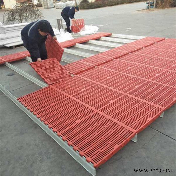 漏粪板模具 猪用产床限位栏 水泥板羊床塑料漏粪地板图4