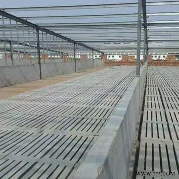 儒创 养殖场水泥漏粪板模具 塑料欧式模具 猪用水泥漏粪地板羊用漏粪板图3