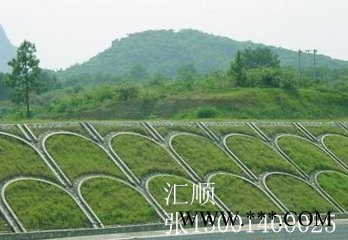 水泥六角护坡模具图3