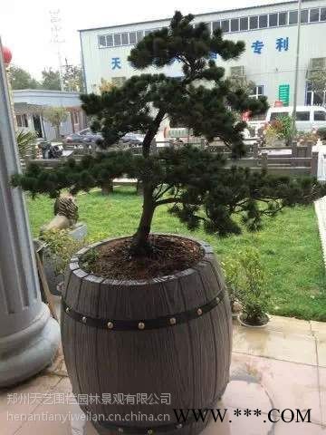 天艺仿木花桶产品及模具混凝土制品水泥花桶模具啤酒桶模具 仿木花盆 花箱 花钵 花池模具及产品图7