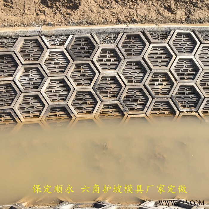 保定顺永 水泥六角护坡砖塑料模具 厂家报价图4