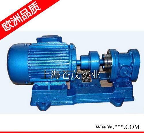 供应电动油泵220v 摆线齿轮油泵 数控车床油泵 吸油泵 爆二图3