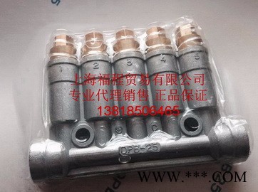 SHOWA DPB15-16数控机床集中润滑给油系统用容积式分配器 showa分配器图2