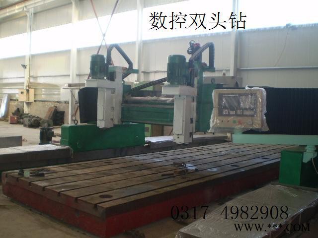 供应河北沧州铁林机床有限公司生产的沧州铁力xmk20-80数控龙门铣床图3