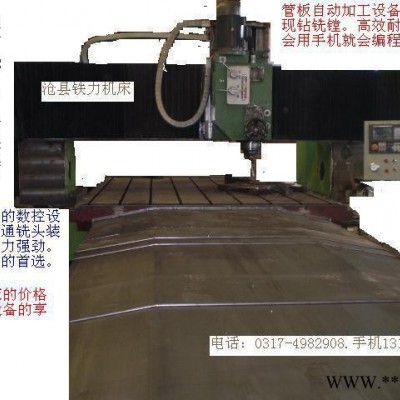 供应河北沧州铁林机床有限公司生产的沧州铁力xmk20-80数控龙门铣床