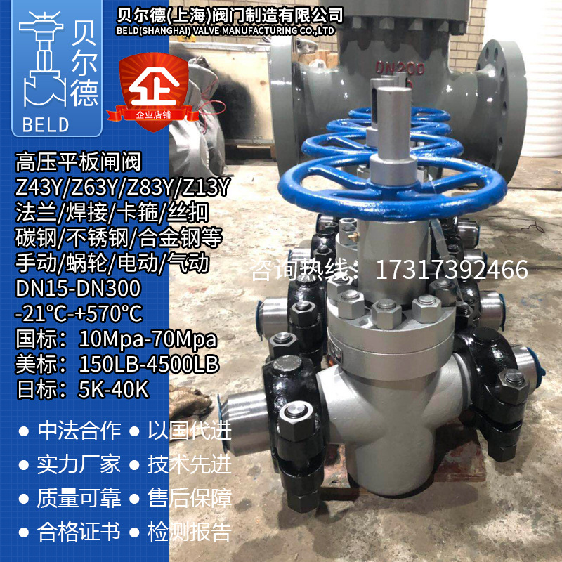 ZF83Y-250C160C350C卡箍高压平板闸阀卡套铸钢不锈钢油田阀注水阀图1